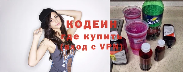 индика Михайлов