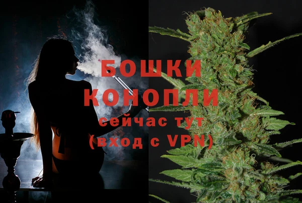 молекула духа Михайловка