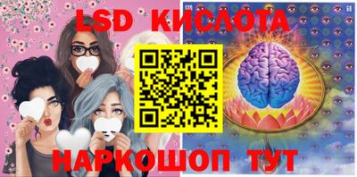 крисы Краснодар