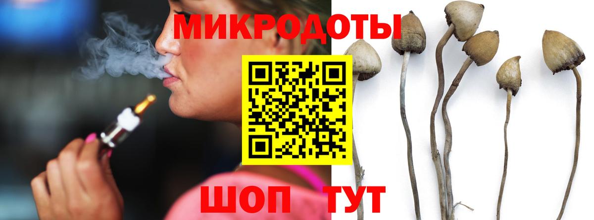 Галлюциногенные грибы Magic Shrooms  Галлюциногенные грибы GOLDEN TEACHER  Нововоронеж  Вход с VPN 