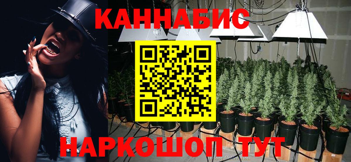 Бошки марихуана семена  Вход с VPN  Канабис гибрид  Нововоронеж  Конопля THC 21% 